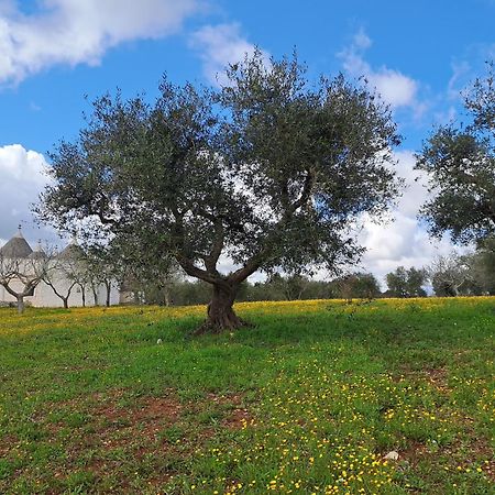 Trulli Carlo Anna Villa Locorotondo Dış mekan fotoğraf