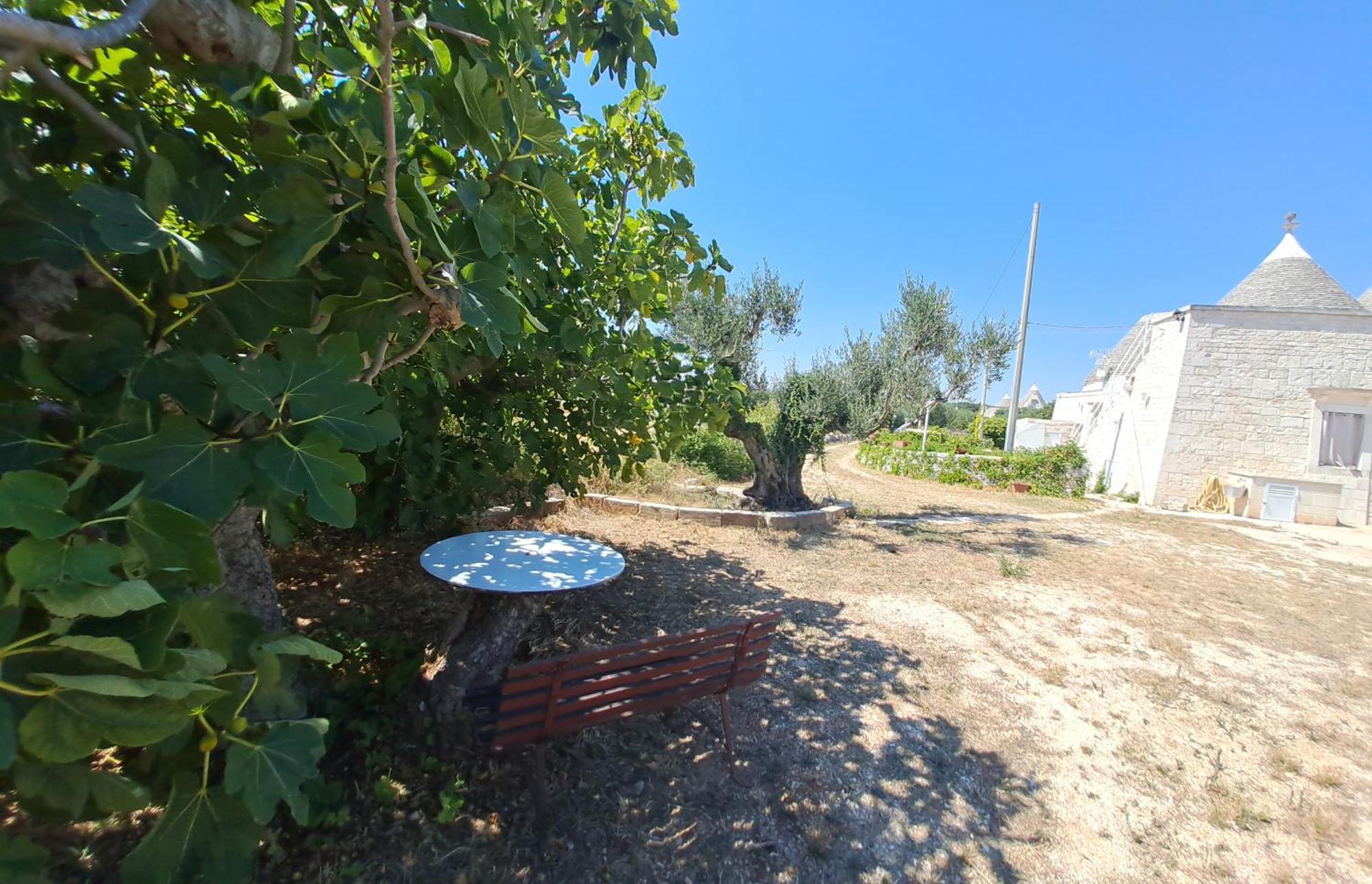 Trulli Carlo Anna Villa Locorotondo Dış mekan fotoğraf