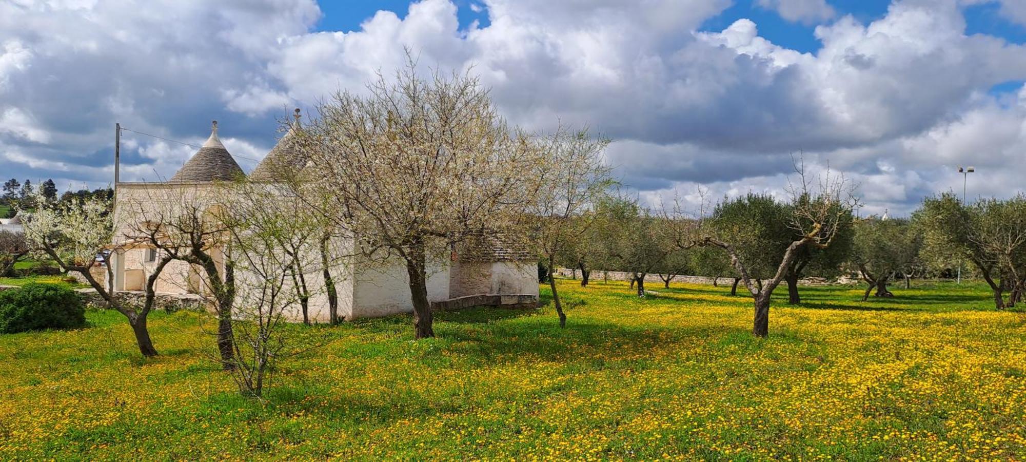 Trulli Carlo Anna Villa Locorotondo Dış mekan fotoğraf